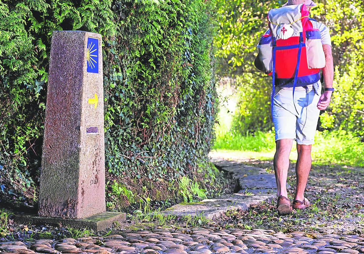 La distancia entre Ferrol y Santiago es de 113 kilómetros.