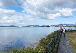 La ría de Ferrol, con las grúas del puerto al fondo.