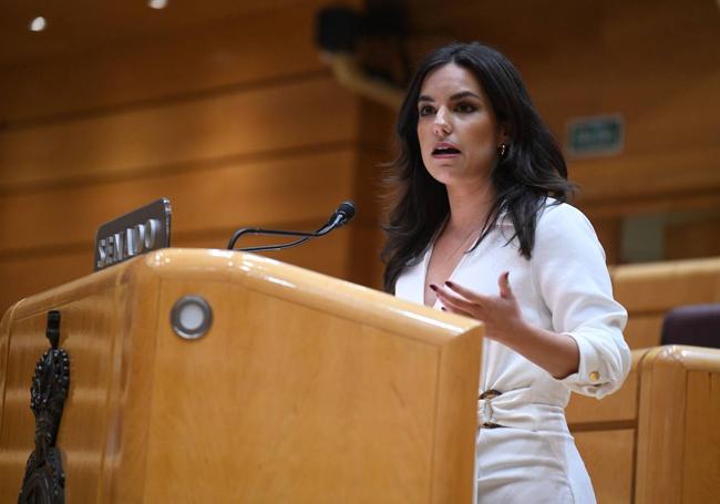 Pepa Rodríguez de Millán, durante una intervención en el Senado.