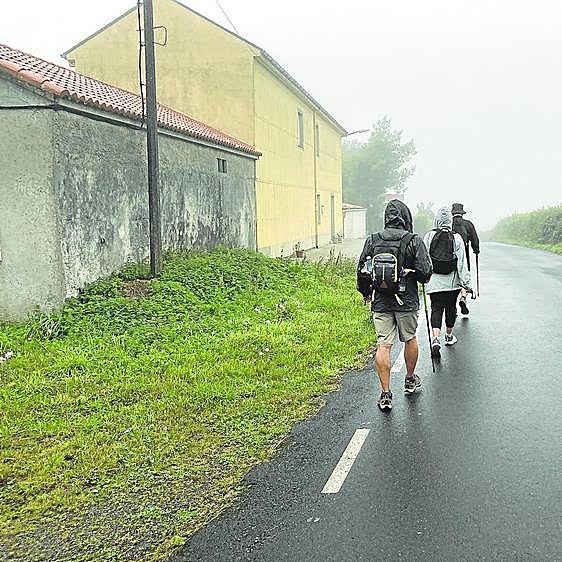 La niebla, espesa y grumosa como un puré de patatas de bolsa, hace que apenas se distinga el perfil de los árboles.