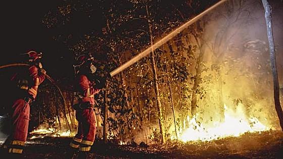 El incendio de Tenerife ha sido intencionado
