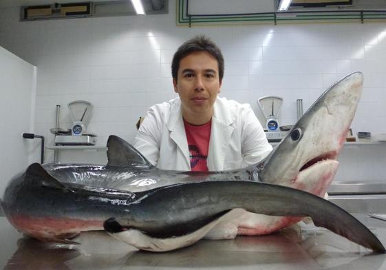 «No tenemos que tener miedo a los tiburones, más bien ellos a nosotros»