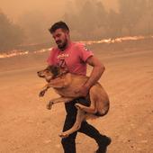 Una nueva oleada de incendios mata a una treintena de personas en Grecia