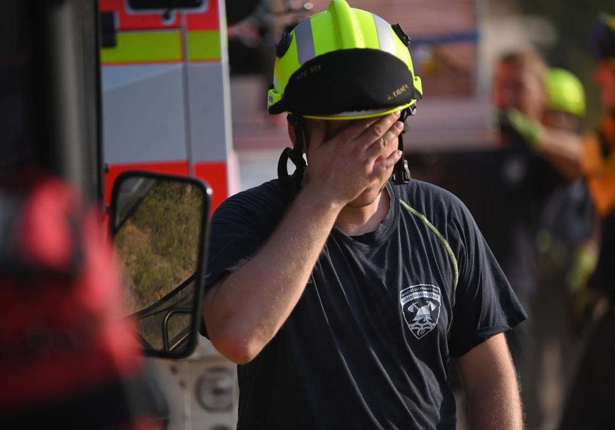 Cientos de bomberos griegos y extranjeros operan durante un incendio forestal en el bosque de Dadia