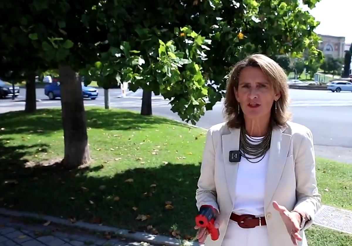 Ribera, termómetro en mano, pide más árboles tras la ola de calor