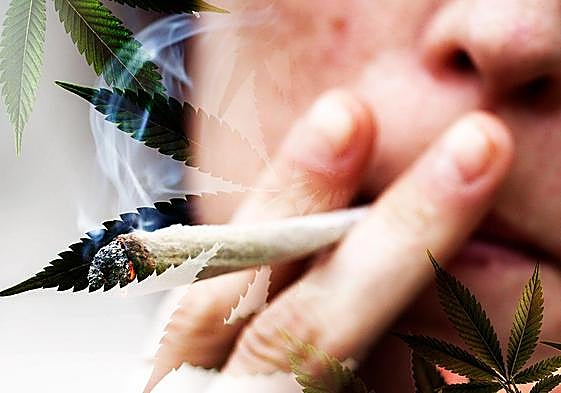 El efecto nocivo de la marihuana en la salud es todavía peor de lo que se pensaba