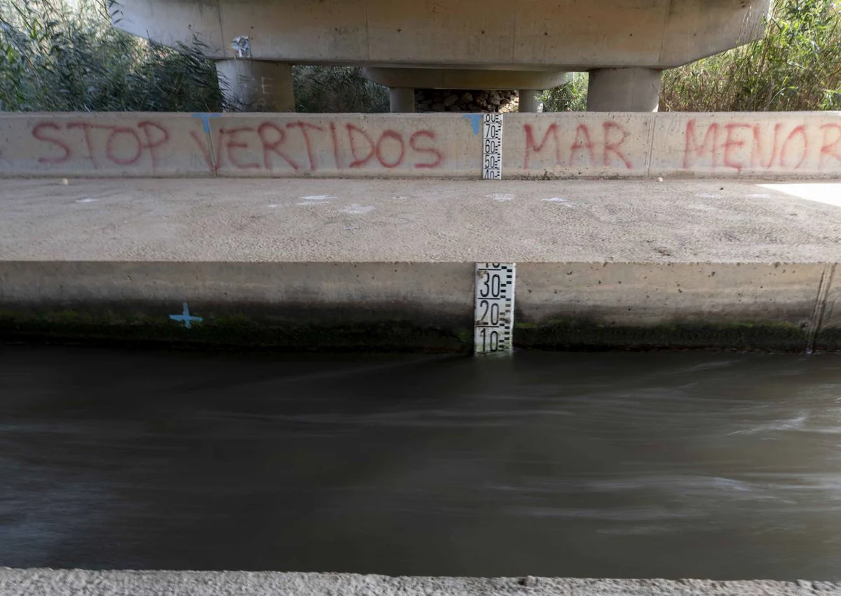 Imagen secundaria 1 - El Mar Menor se niega a morir