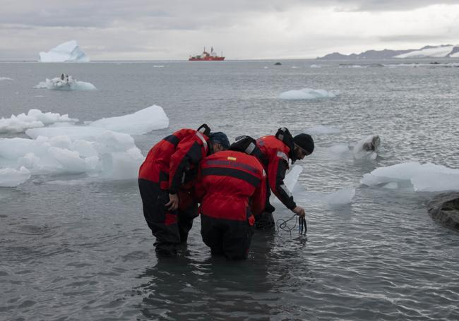 Búsqueda de datos paleoclimáticos.