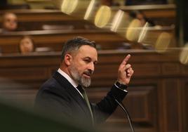 El líder de Vox, Santiago Abascal, durante su discurso en el Congreso