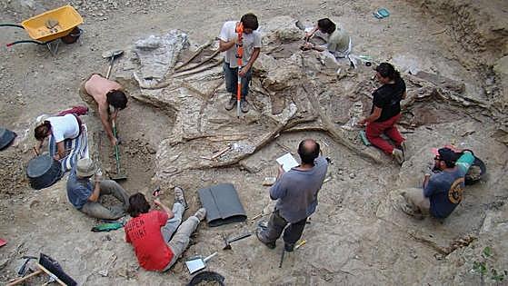 Descubren en Castellón uno de los dinosaurios más grandes hallados en Europa