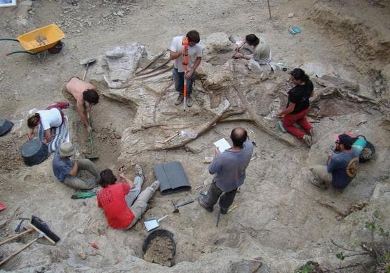 Excavación de los huesos de uno de los ejemplares de la nueva especie