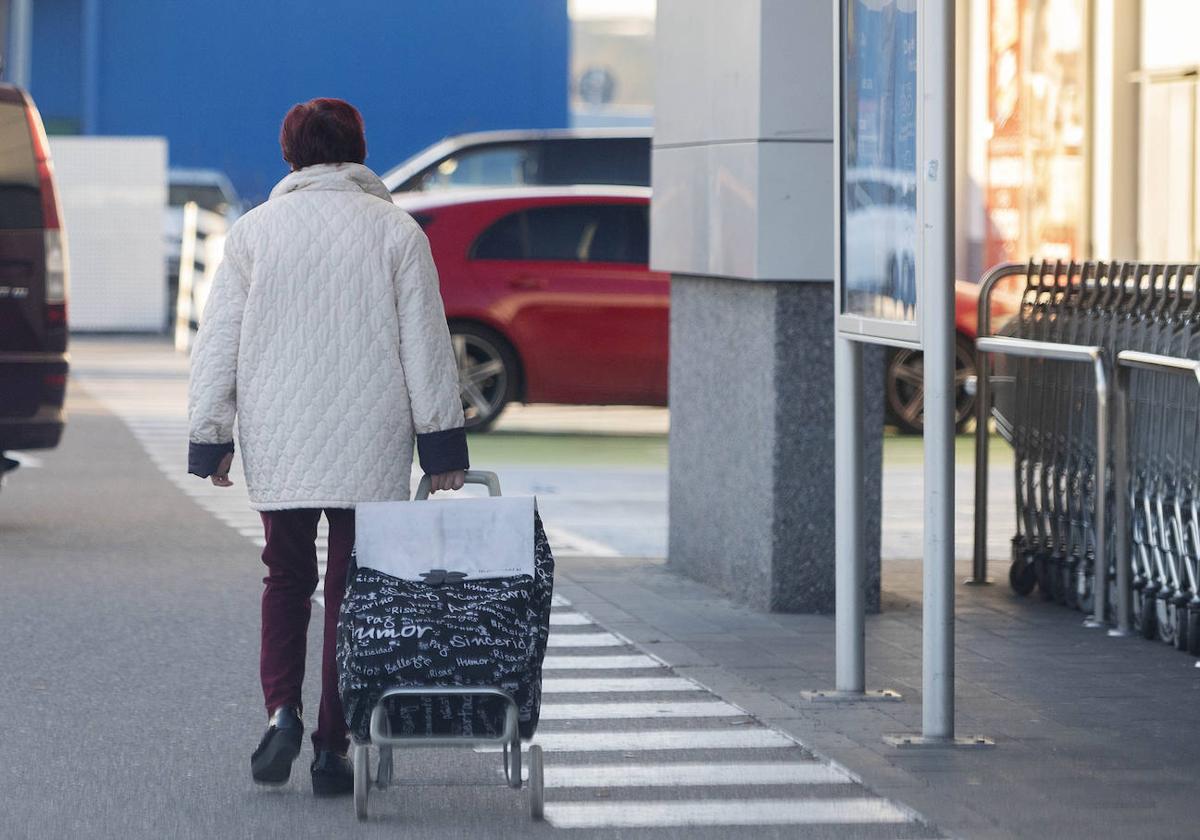 Los economistas advierten de una ralentización económica por el desplome del consumo