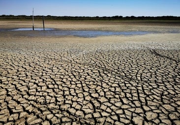 El verano de 2022 fue el más caluroso en España en 700 años