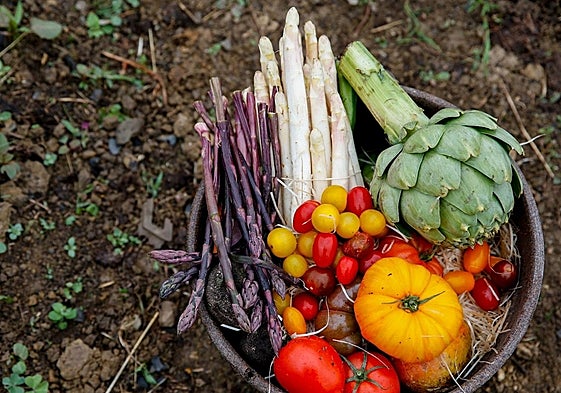 Los beneficios  de plantar un huerto urbano