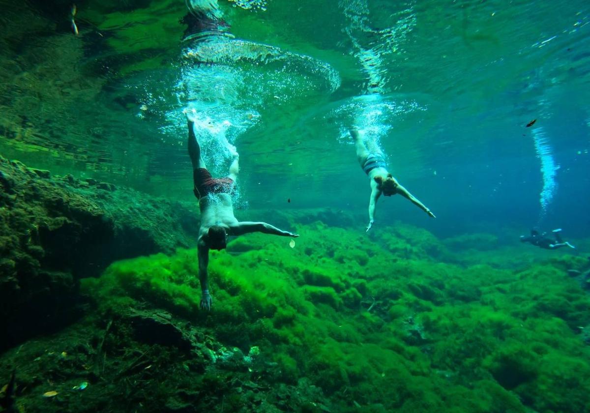 Proyecto de turismo comunitario de los cenotes