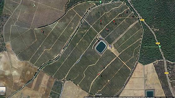 La Guardia Civil halló ocho pozos ilegales en una finca de los Alba tras una denuncia de ecologistas