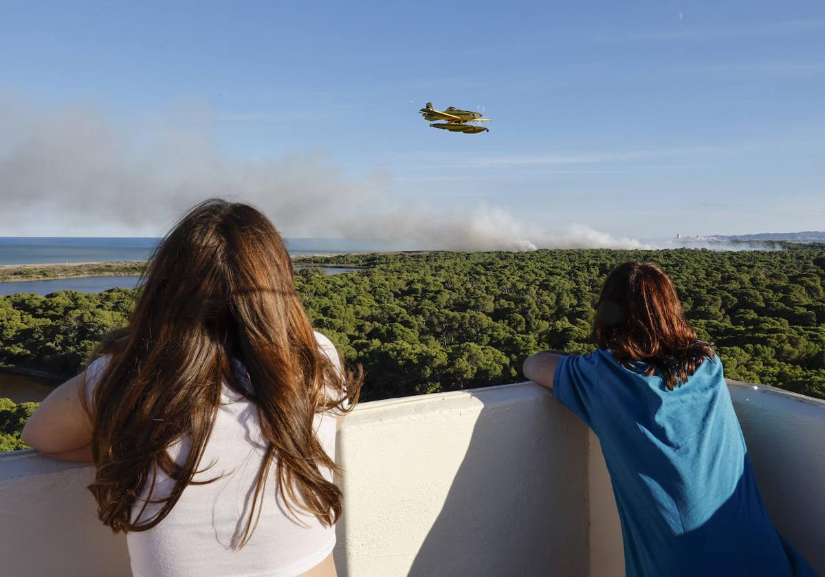 Vista general de la zona boscosa de El Saler durante las tareas de extinción de los últimos incendios.