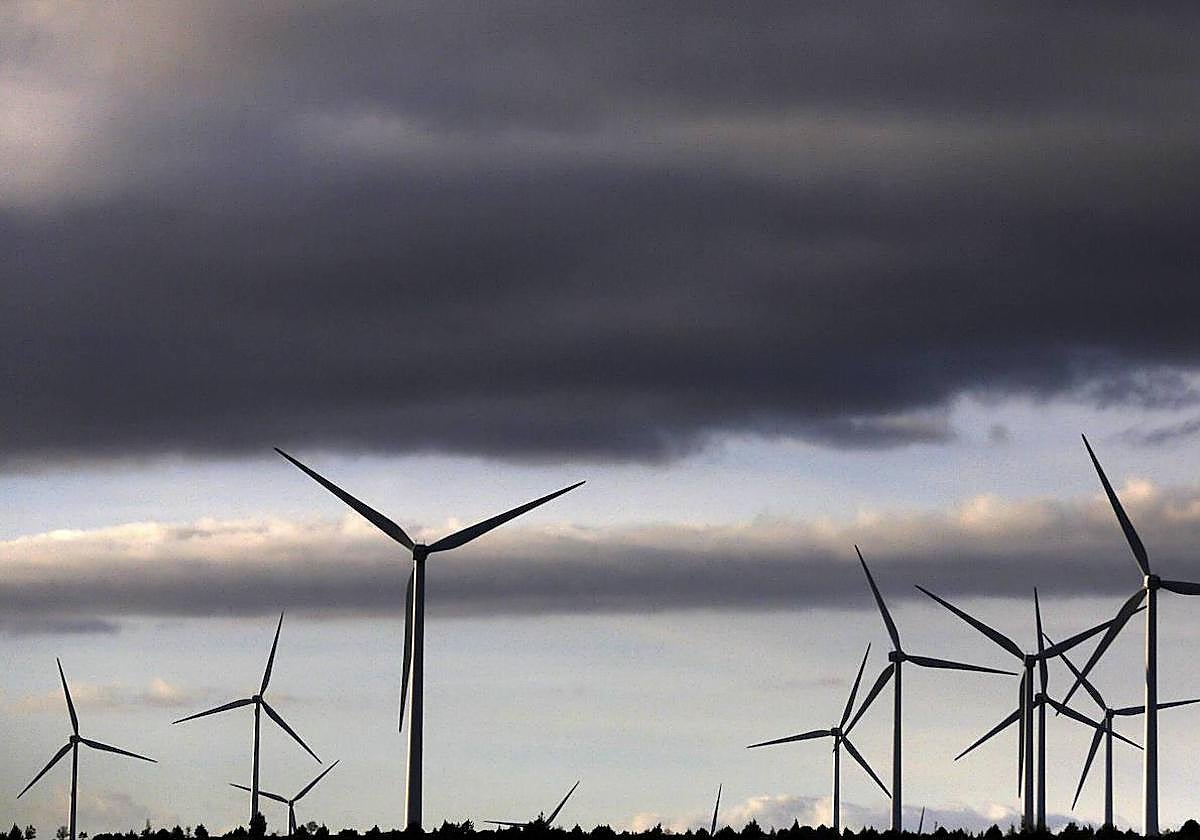 Planta de energía eólica.