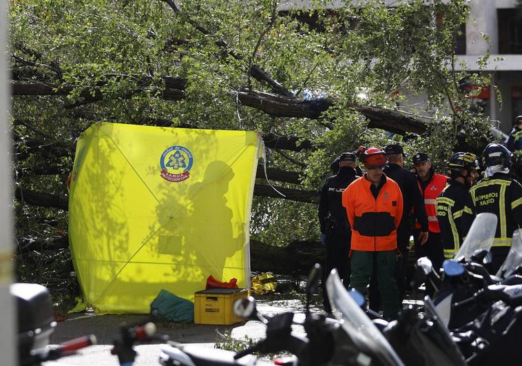 Los servicios de Emergencias, en el lugar del suceso.