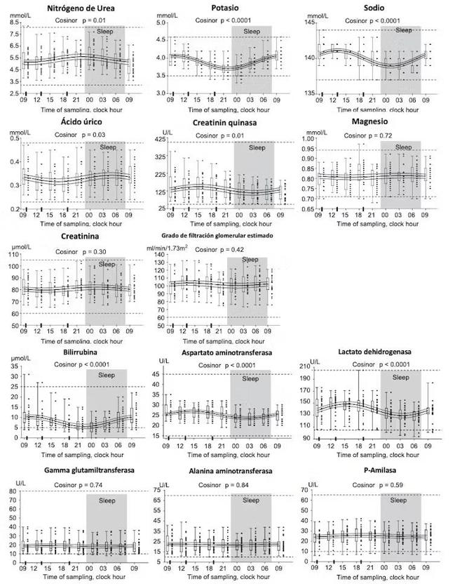 Variación a lo largo del día de los marcadores sanguíneos.