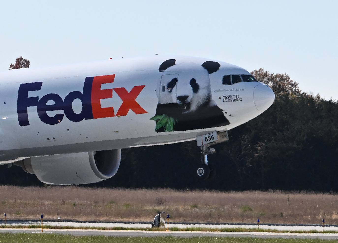 Imagen secundaria 1 - Despedida en Washington a los tres pandas que han vuelto a China.