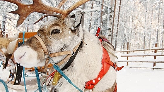 Te traemos los planes más originales para viajar barato en diciembre