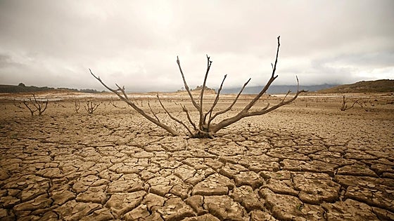Unicef alerta que uno de cada 3 niños está expuesto a una grave escasez de agua
