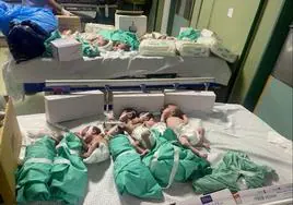 Las autoridades de Gaza elevan a siete los bebés muertos por la falta de electricidad en el hospital de Al Shifa