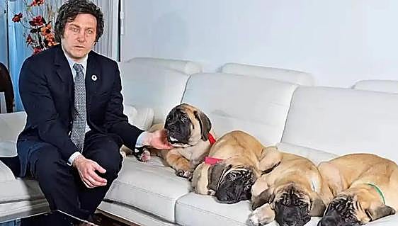 Colchones nuevos, zonas para los perros... Milei se gasta la plata en reformar la residencia oficial