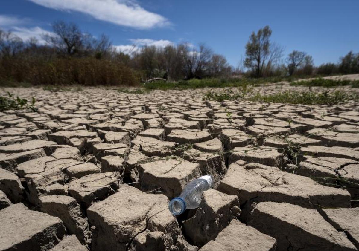 Cataluña decreta la preemergencia por la peor sequía en un siglo