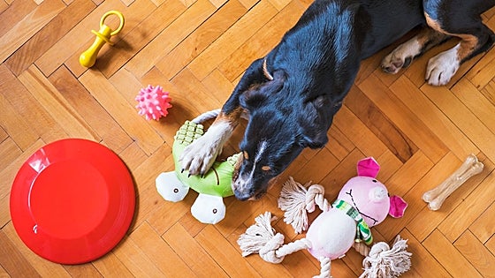 Regálales ilusión a tus mascotas  estas navidades con estos juguetes y accesorios de lo más originales