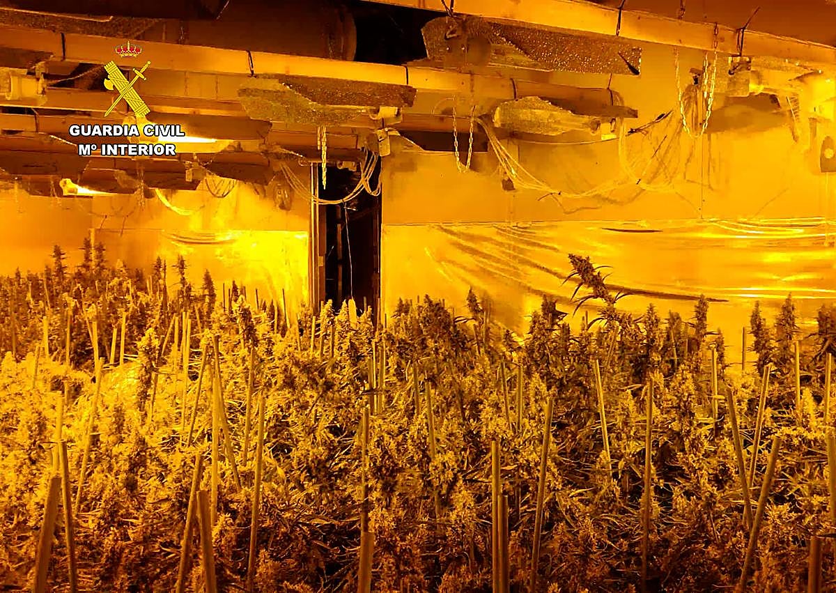 Imagen secundaria 1 - Imágenes del 'narco túnel'.