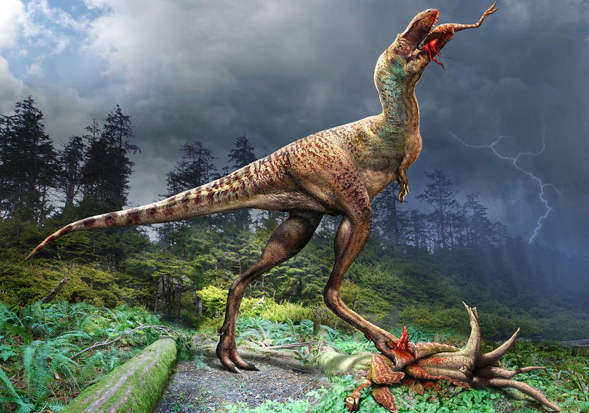 Fossil with two prey inside reveals how young tyrannosaurs hunted and ate