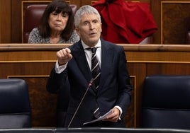 Fernando Grande-Marlaska en el Pleno del Congreso este miércoles