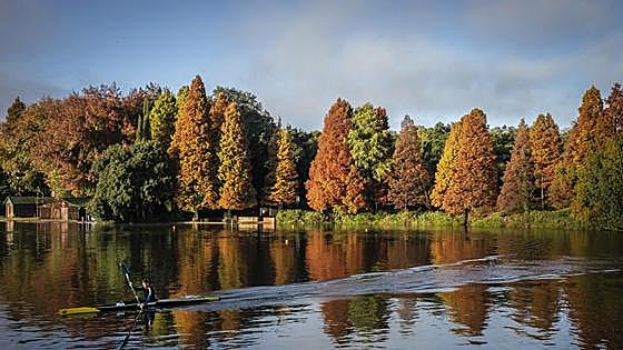 El cambio climático ha cambiado el color de la naturaleza