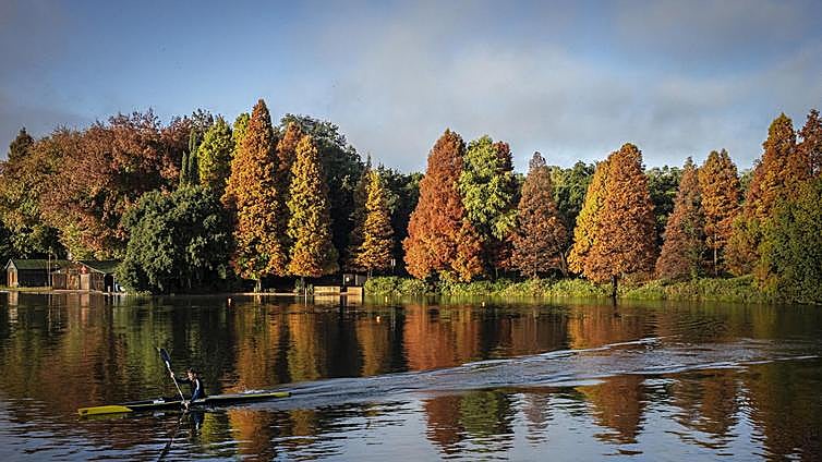 El cambio climático ha cambiado el color de la naturaleza