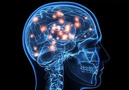 El cerebro tiene su propia wifi: comunicaciones inalámbricas del sistema nerviosol