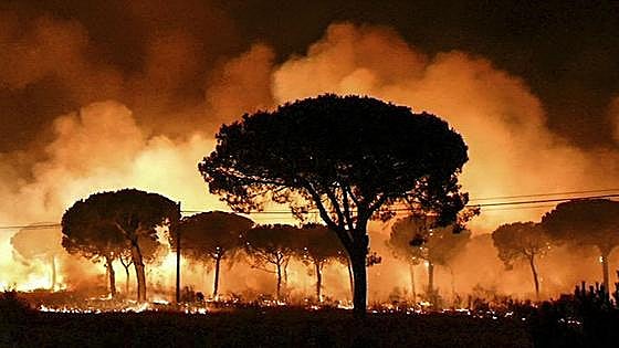 Un gran hermano de 24 horas para adelantarse a los incendios