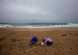 Gente limpiando playas en Galicia.