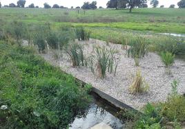 Plantas para recuperar las aguas residuales