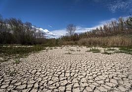 El río Muga a su paso por Peralada, en Girona.