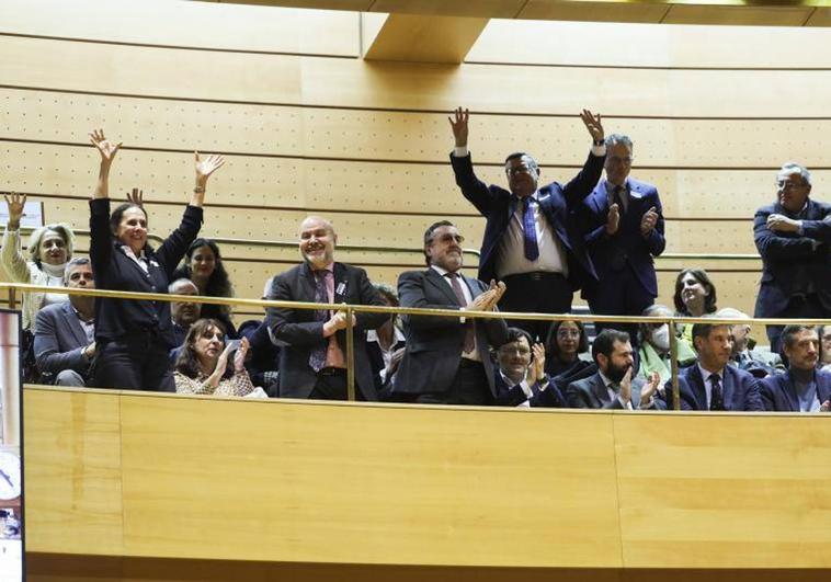 Invitados al pleno del Congreso celebran el resultado de la votación.