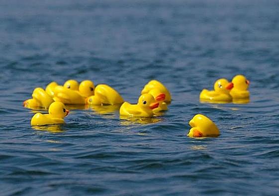 Patitos de plástico en el mar.