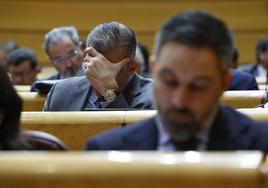 Santiago Abascal y Javier Ortega Smith, durante el pleno del pasado jueves.