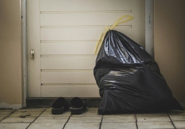 Cubos de basura modernos para reciclar con los que mantener tu casa y el planeta