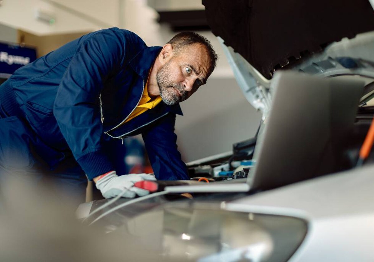 Lleva tu coche ordenado y limpio con esta papelera de 14 euros - Periodismo  del Motor