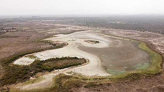 Doñana «cerca del colapso»: «El 2023 es uno de los peores años»