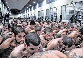 Imagen distribuida por el Gobierno de una remesa de miembros de las maras trasladados a la mega cárcel, el Centro de Reclusión de Terroristas.