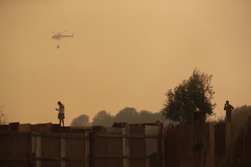 Helicópteros tratan de sofocar el fuego en Viña del Mar.