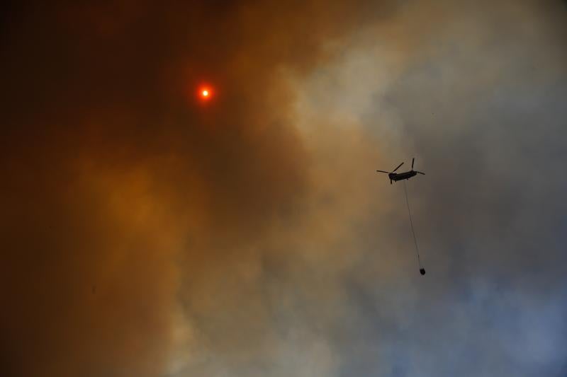 Incendios forestales en el sector Las Rosas de Quilpué.